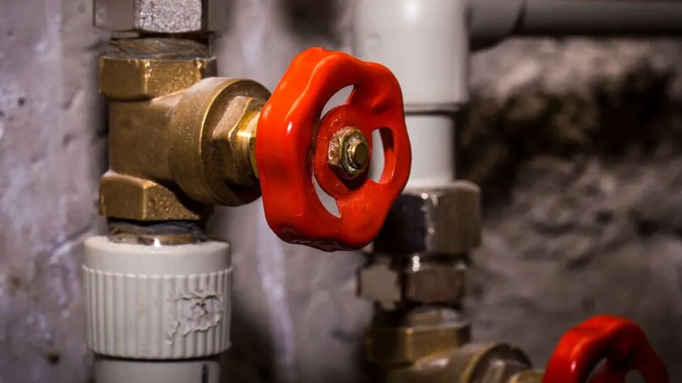 Фото: frepik.com