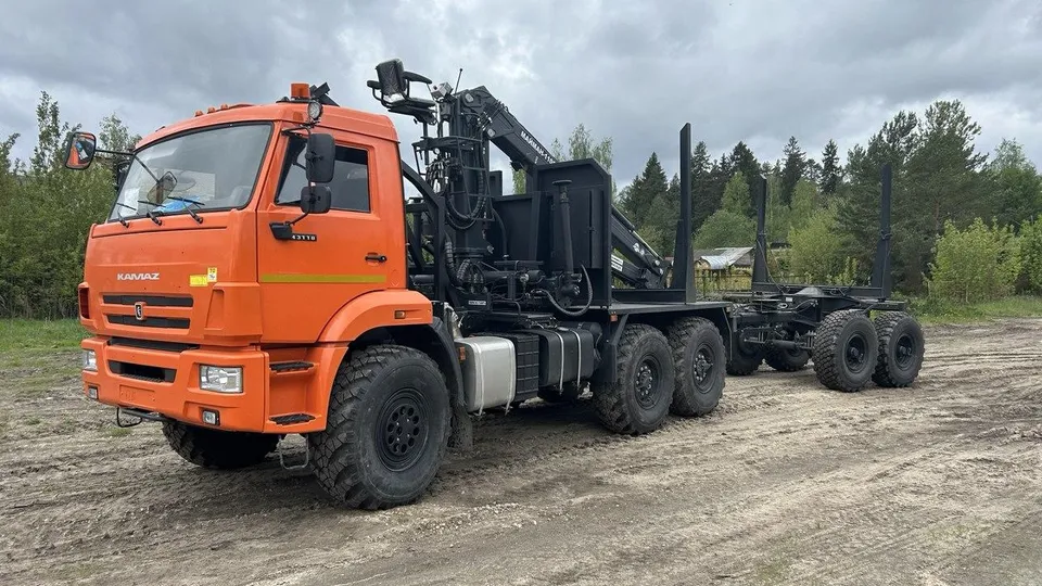 Фото: Комитет лесного хозяйства МО