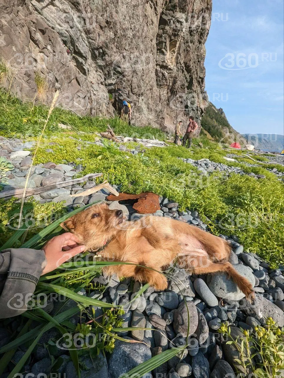 Фото из архива владельца