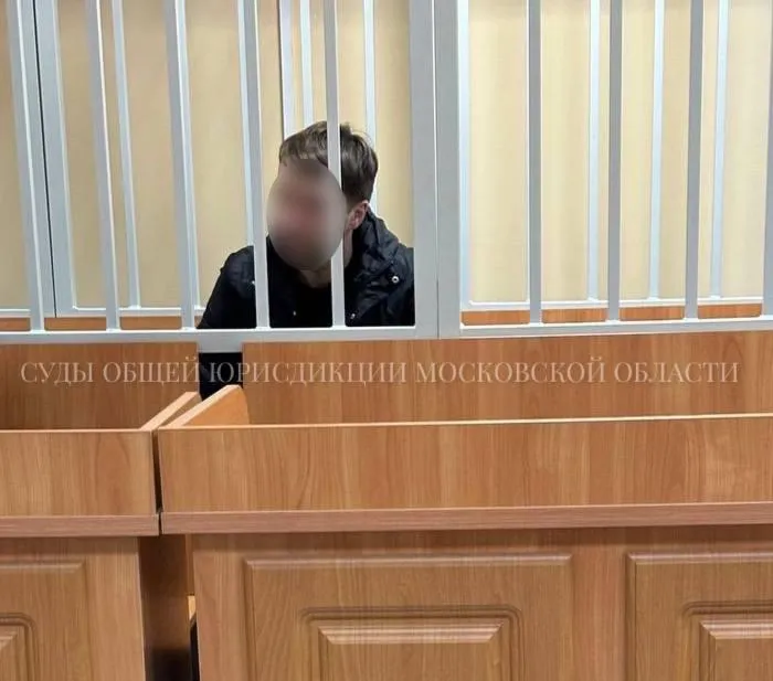 Суды общей юрисдикции Московской области