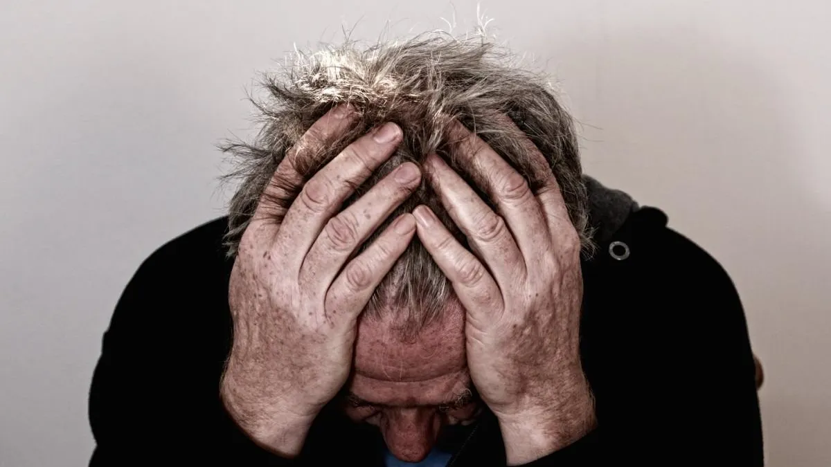 Фото: pxhere.com