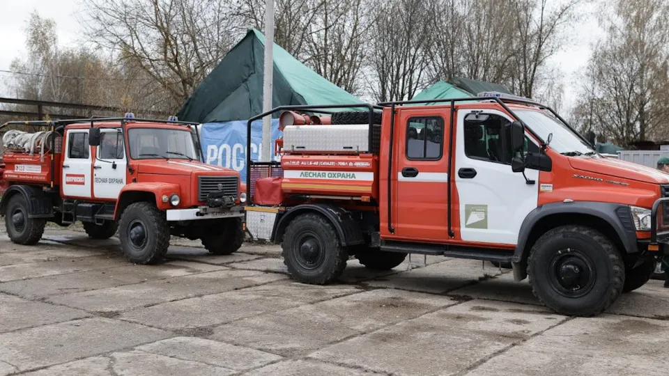 Фото: Комитет лесного хозяйства Московской области