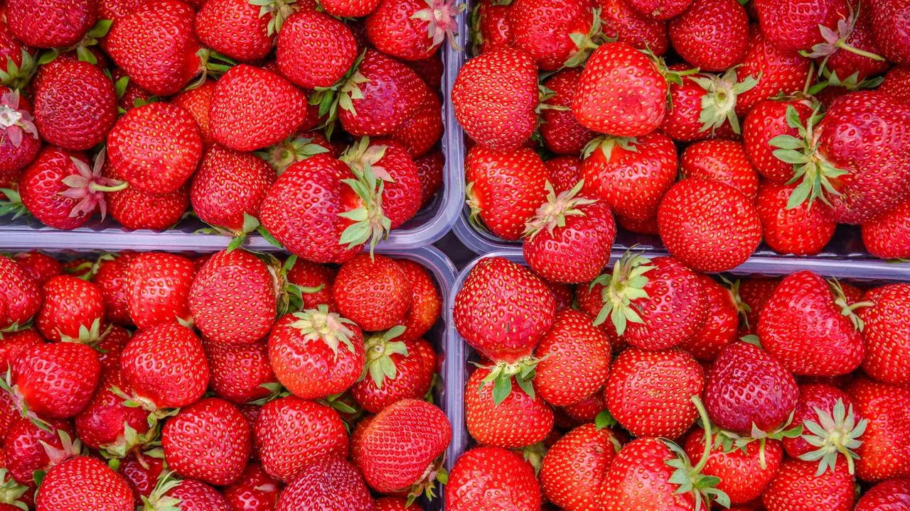 медиасток.рф