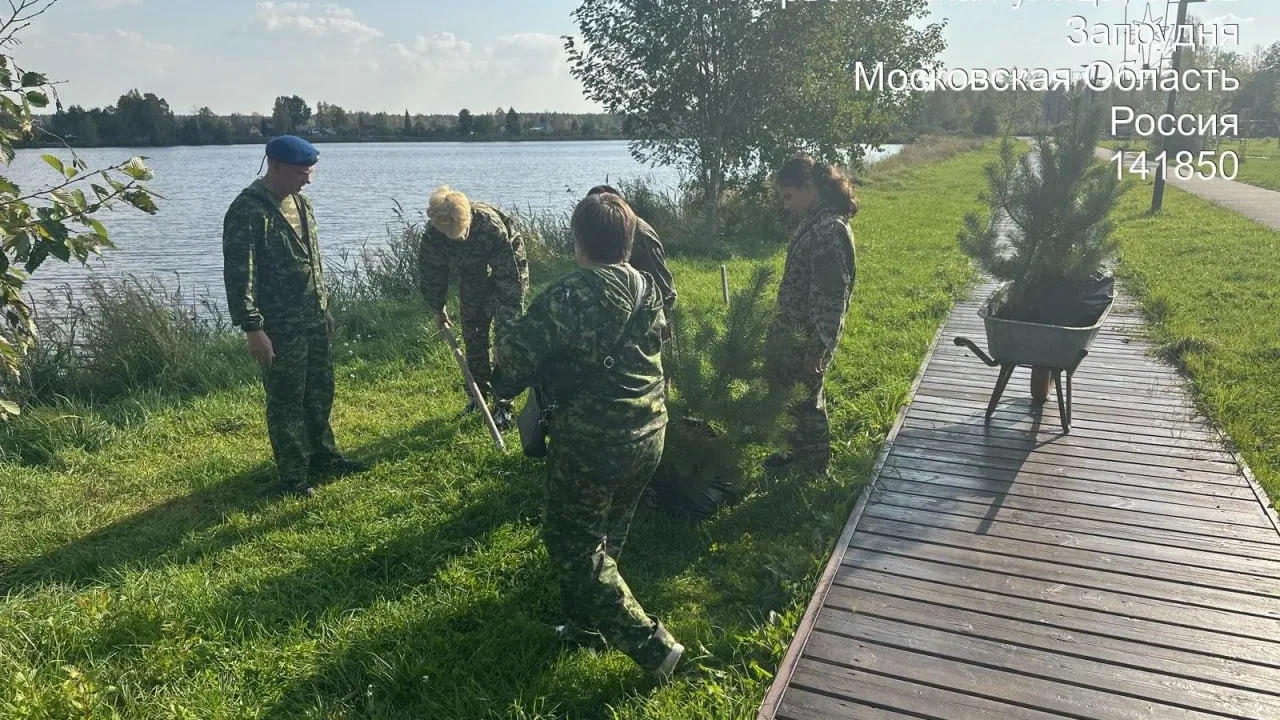 Комитет лесного хозяйства Московской области