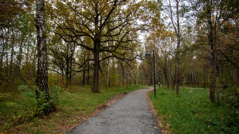 Фото: t.me/VorobievDmitrij