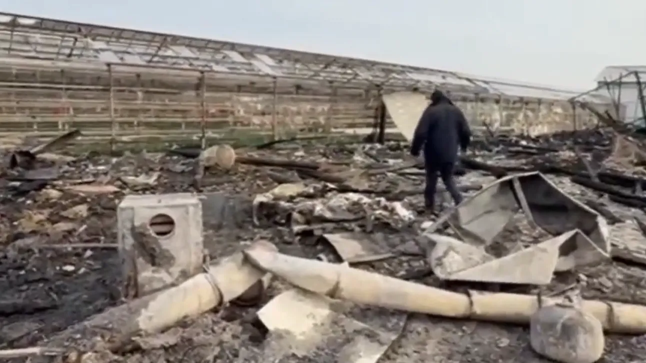 Фото: ГСУ СК России по Московской области