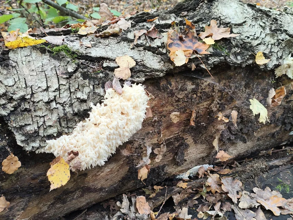 Фото: Наталья Любимова