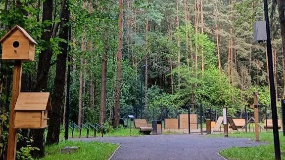 Фото: лесопарк «Дубки»