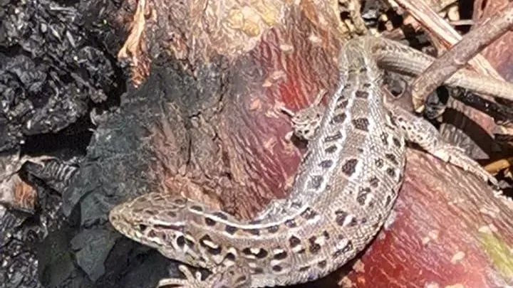 Фото: Анна Светлова