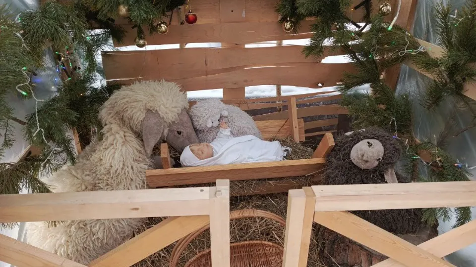 Фото: REGIONS/Екатерина Сарычева