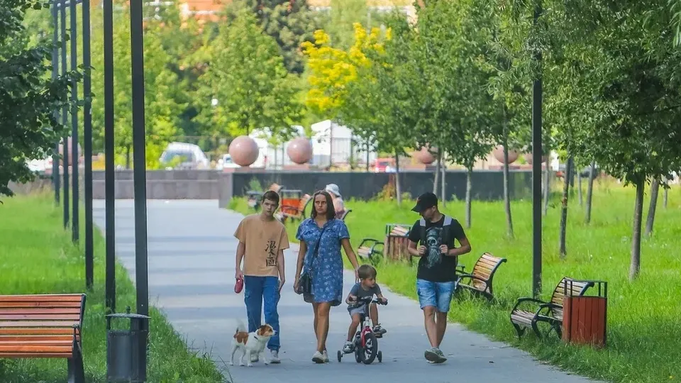 Фото: Министерство благоустройства МО