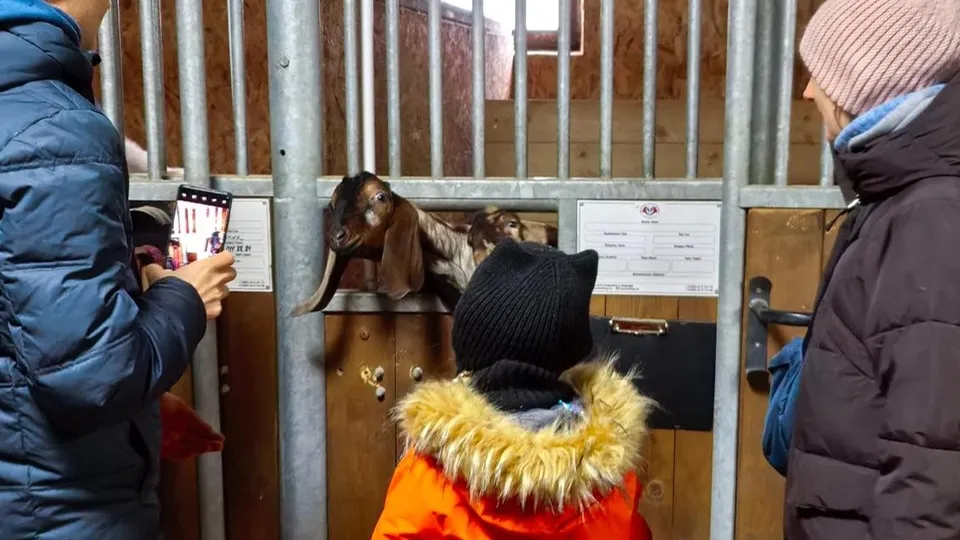 Фото: пресс-служба администрации городского округа Солнечногорск