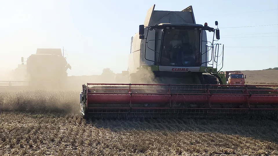 Фото: МедиаБанк Подмосковья/Наталия Надточая