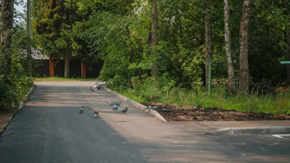 Фото: пресс-служба администрации Сергиево-Посадского г.о.