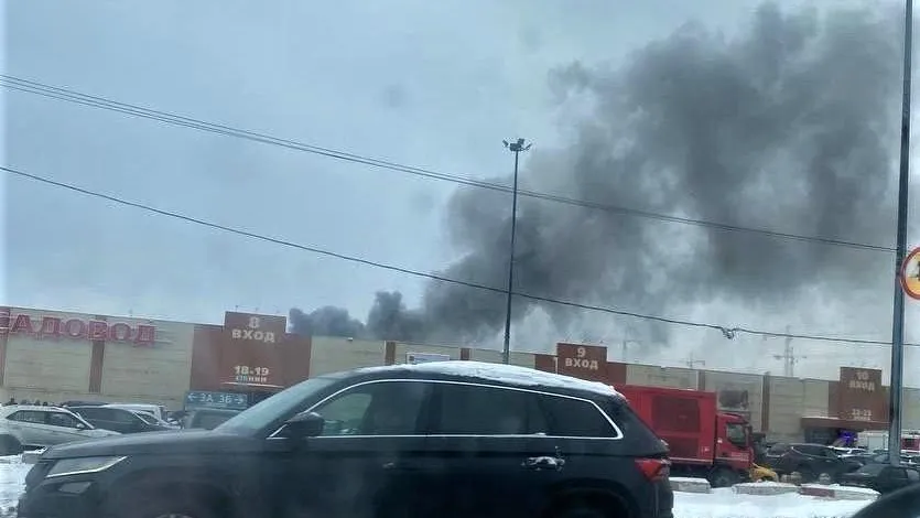 Фото: скрин с видео