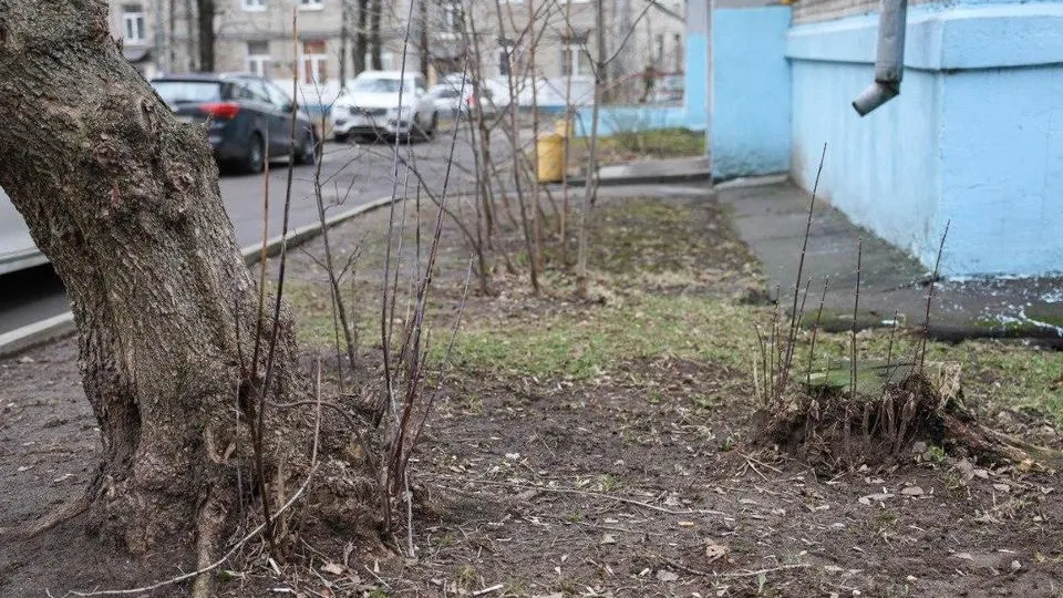 Фото: пресс-служба администрации городского округа Мытищи