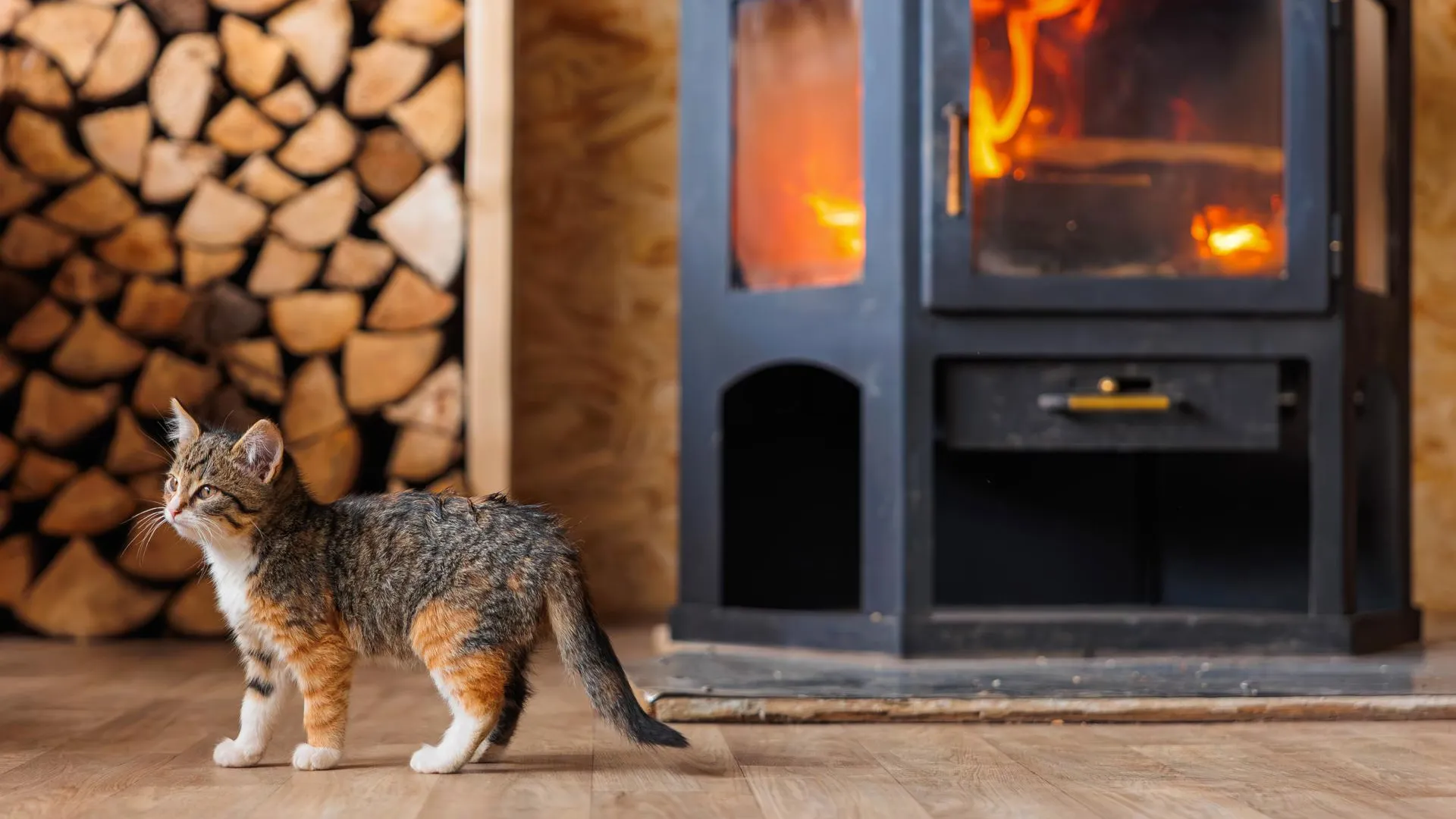 медиасток.рф