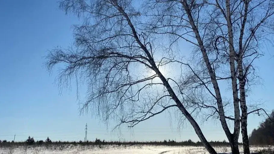 REGIONS/Мария Толстикова