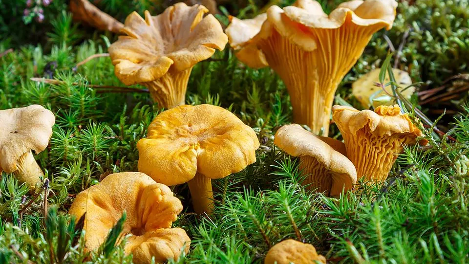 Фото: istockphoto.com