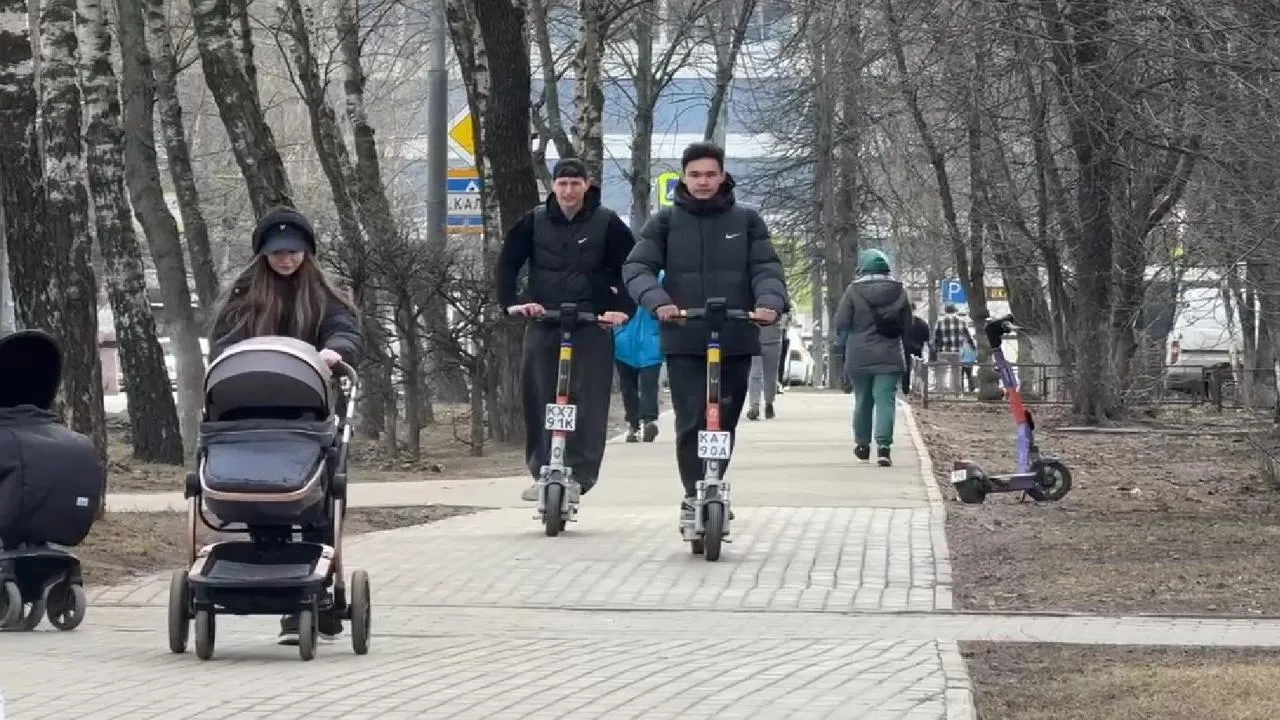 МедиаБанк Подмосковья/Ксения Казакова