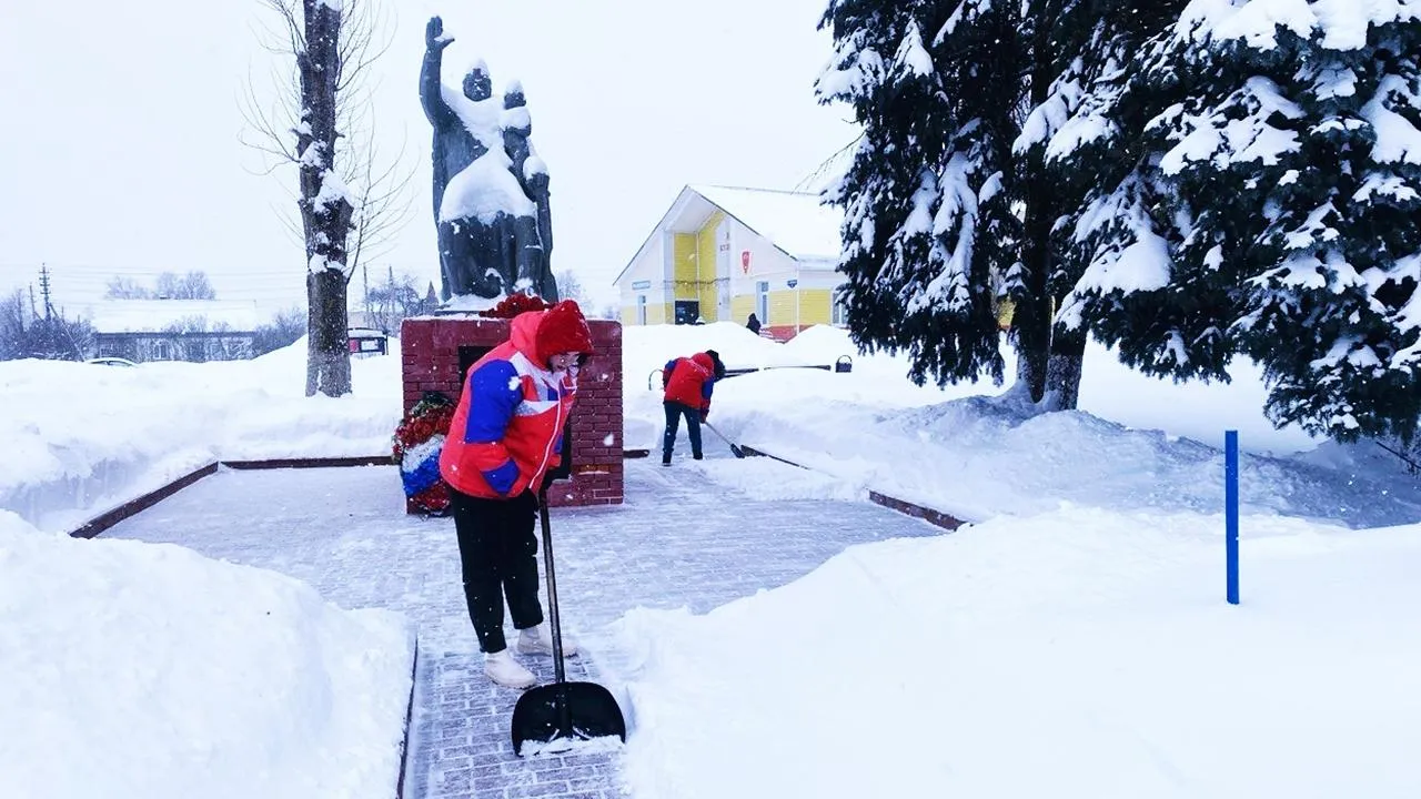 «Волонтеры Подмосковья»