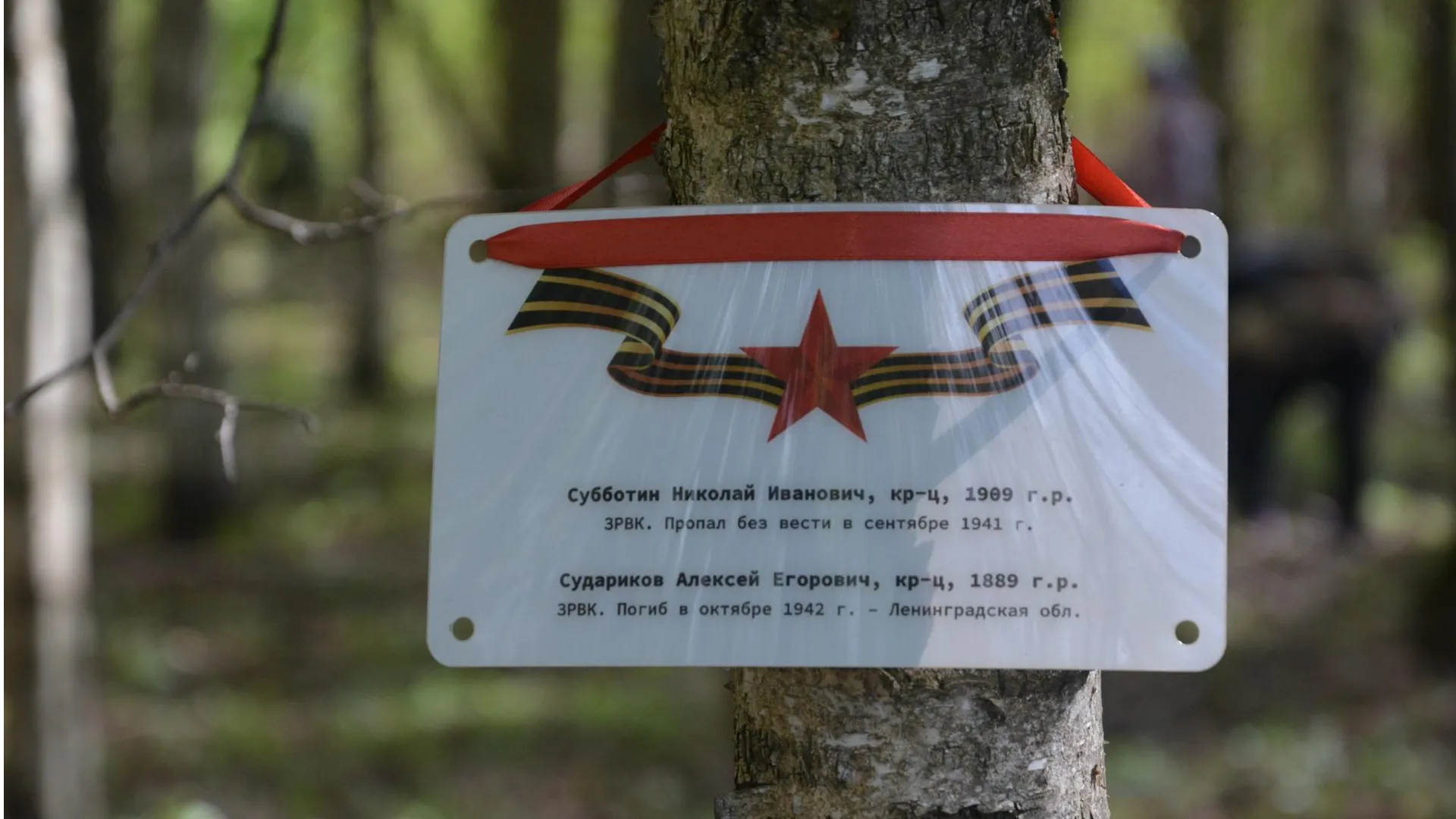 Парк «Юбилейный»/фото: из архива regions.ru/zvenigorod