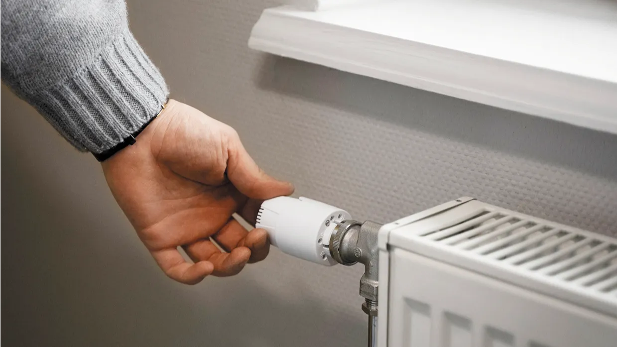 Фото: ru.freepik.com