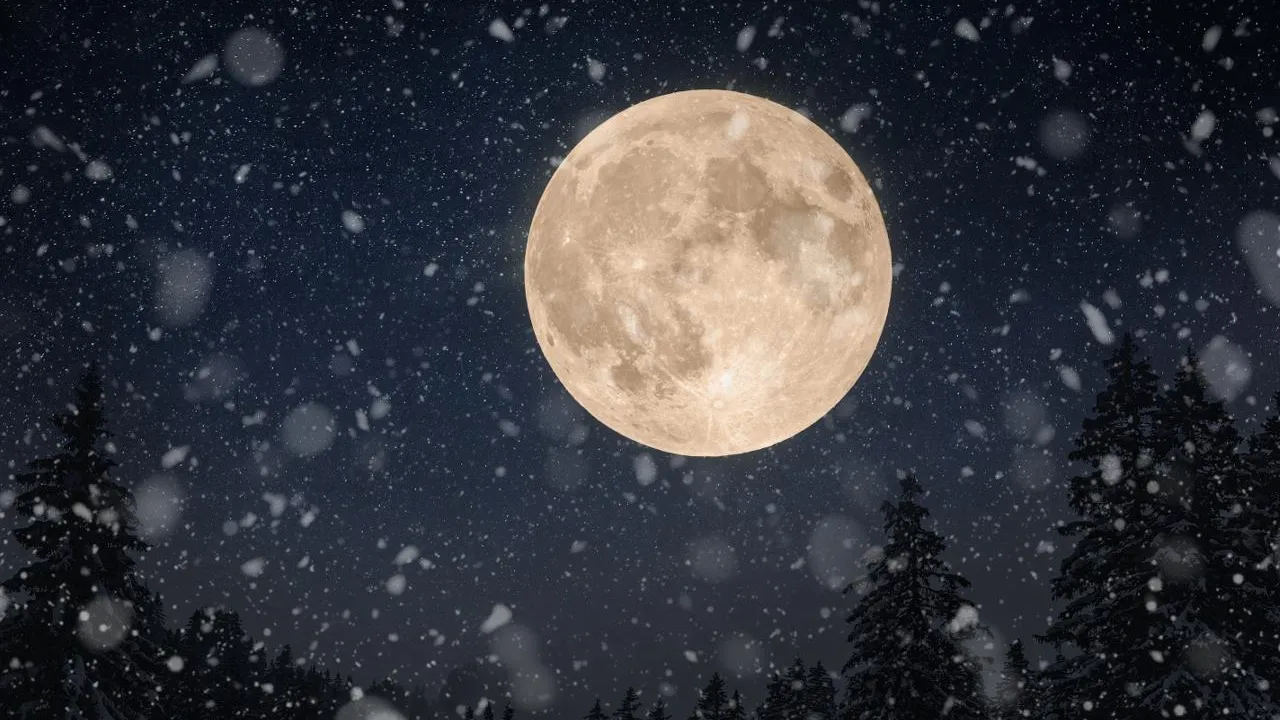 istockphoto.com/Alones Creative