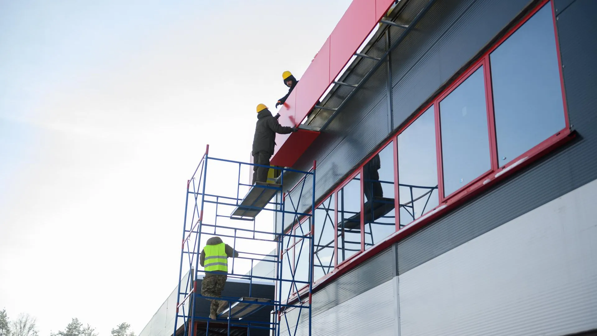 Данила Новак