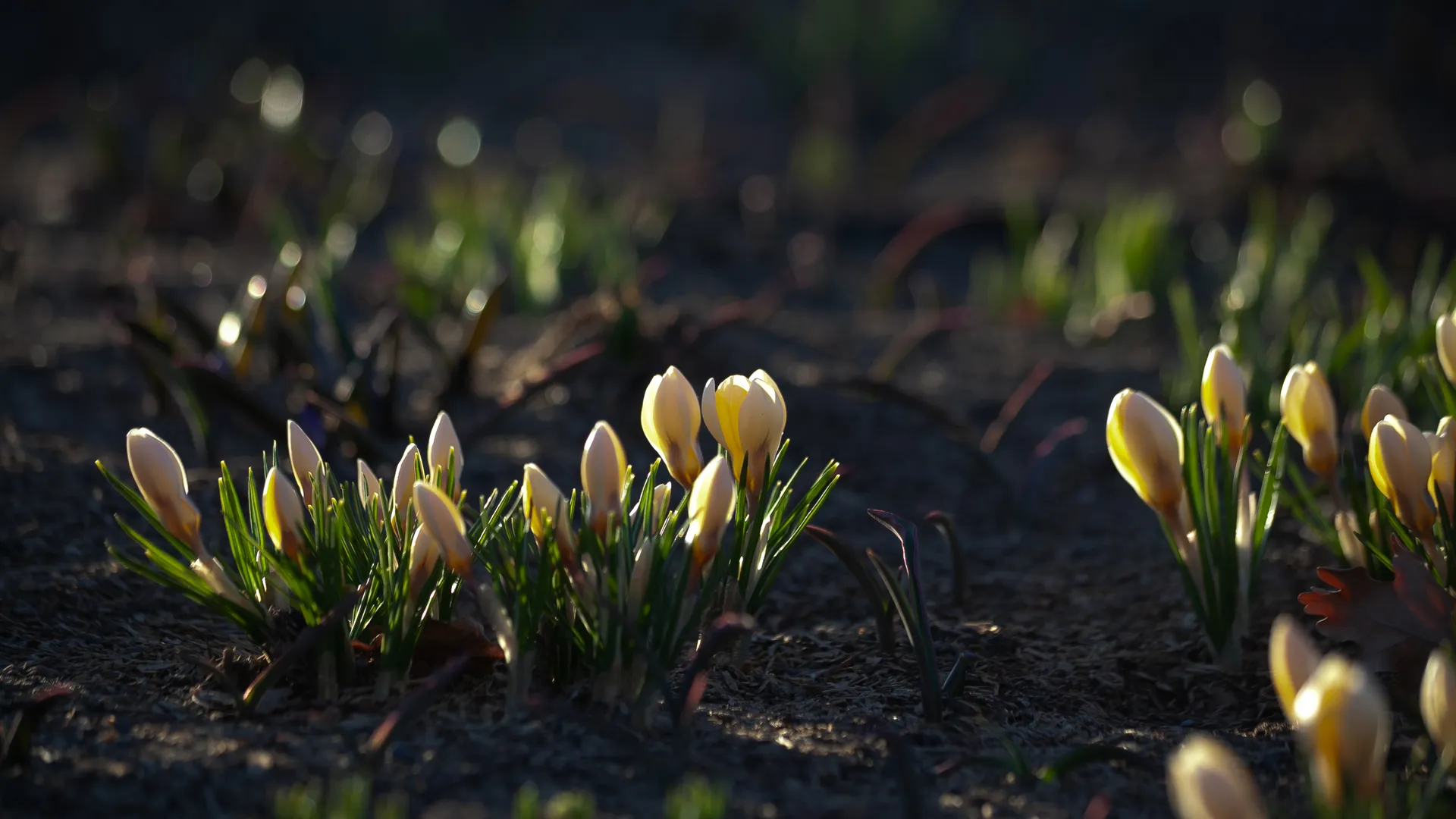 медиасток.рф