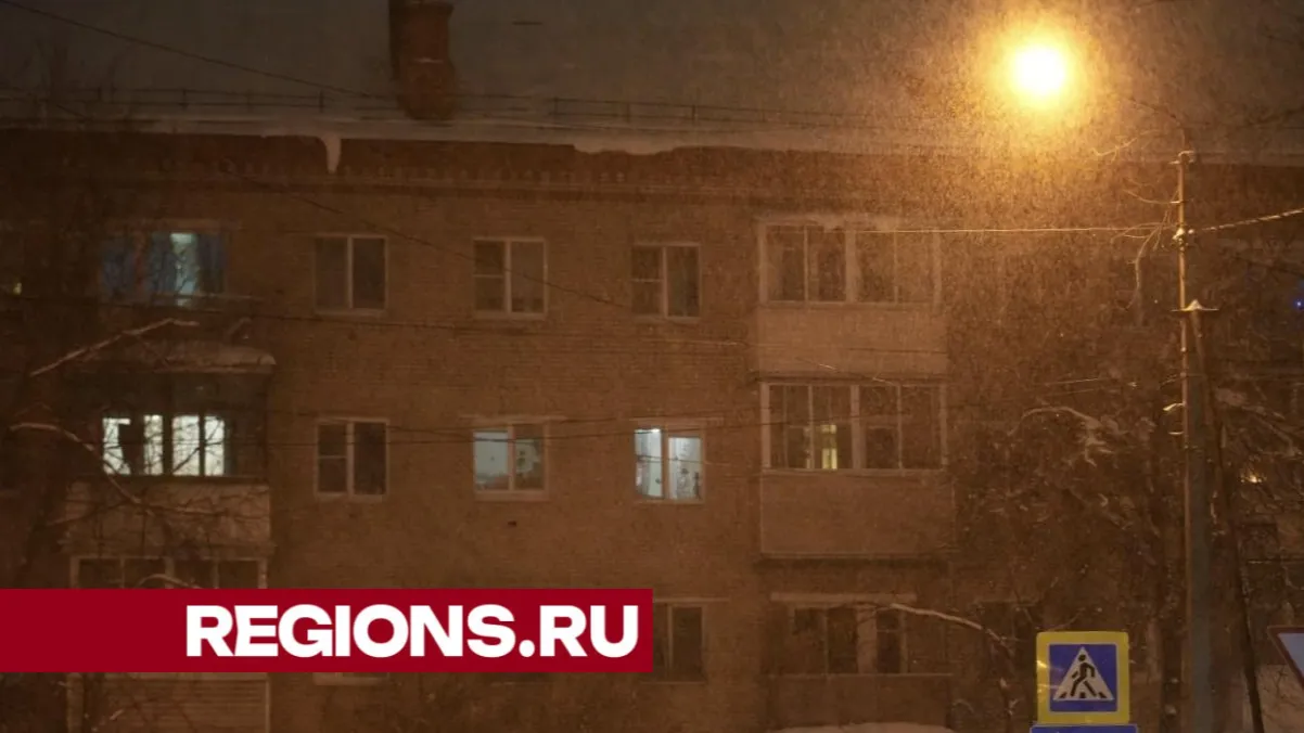 Фото: Дмитрий Зайчиков