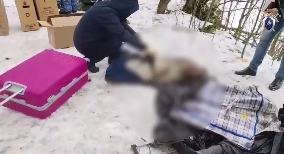 ГСУ СК по Петербургу