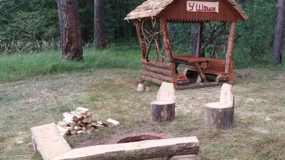 Фото: Волоколамский филиал ГКУ МО «Мособллес»