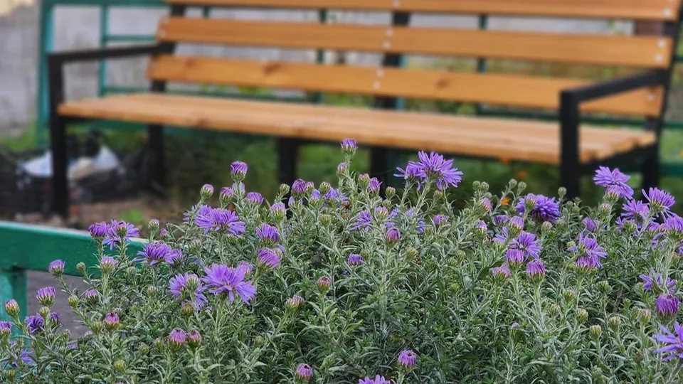 Фото: пресс-служба администрации м.о. Луховицы