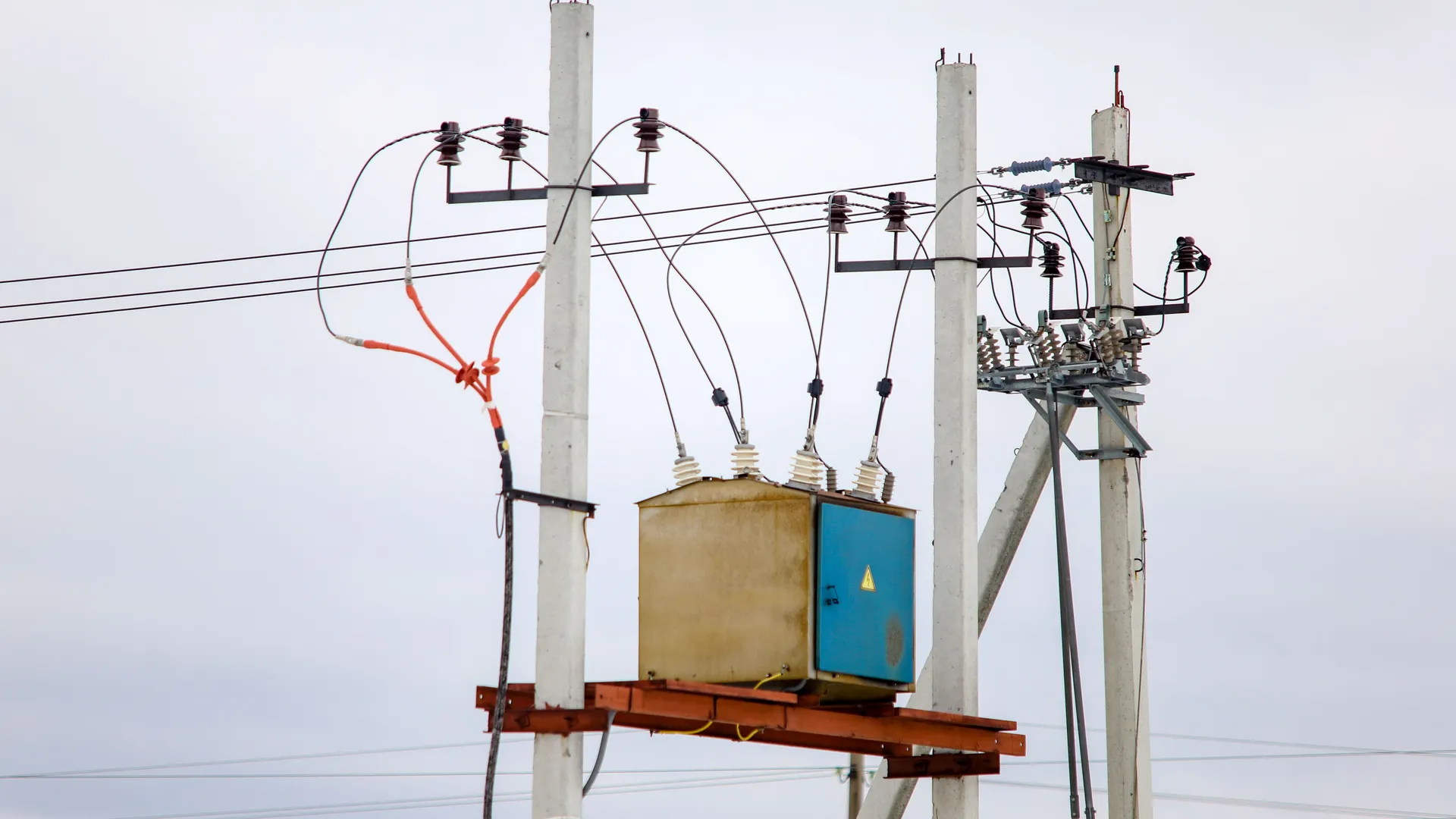 Фото: Виталий Ватулин