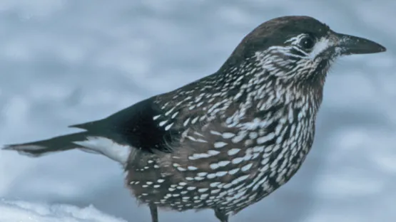 Фото: фонд "Верховье"