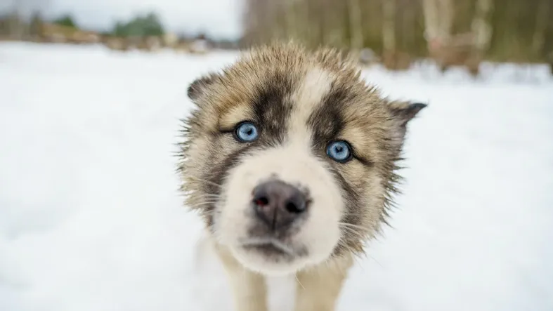 Фото: Минсельхоз МО