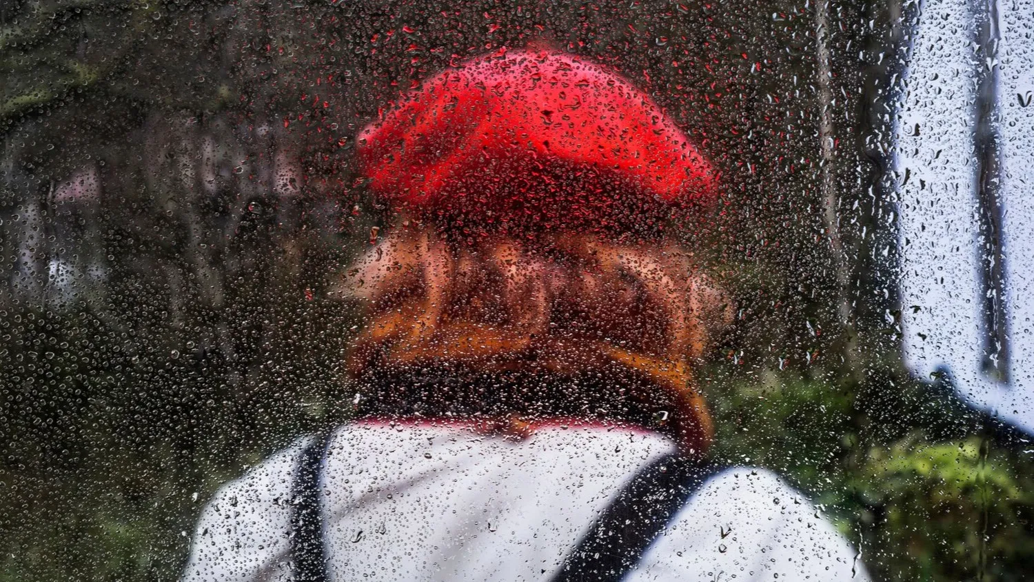 Фото: freepik.com