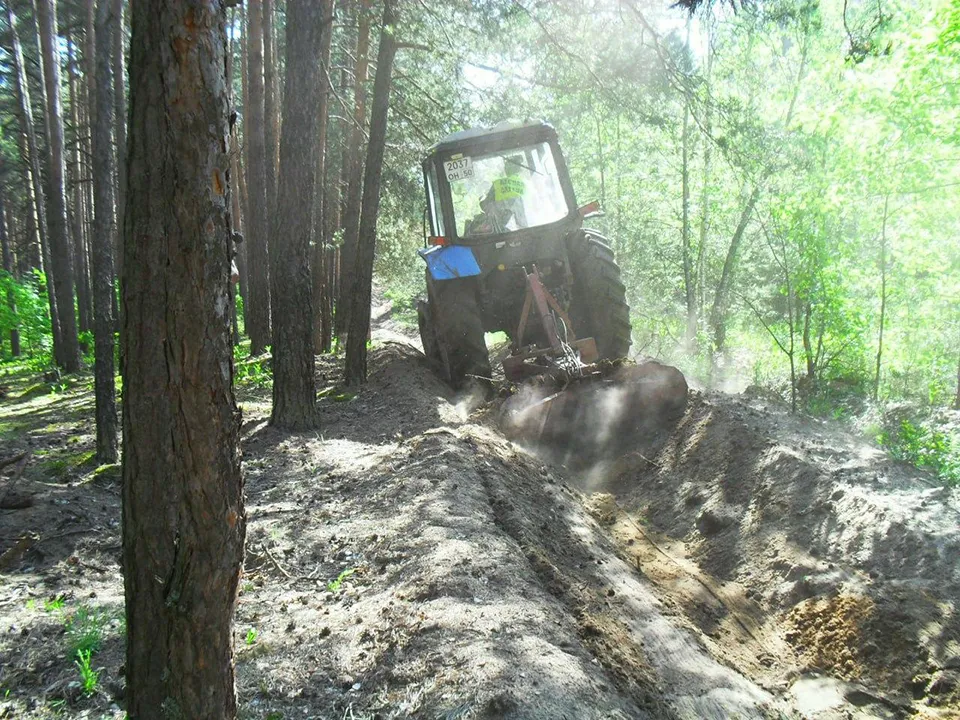 Фото: Комитет лесного хозяйства Московской области