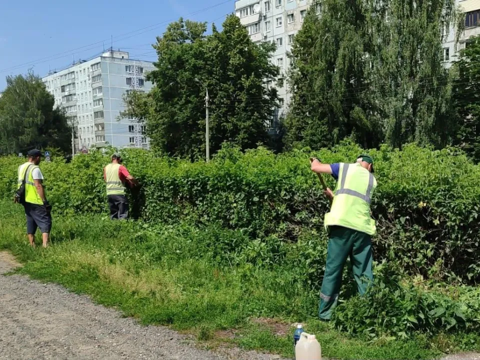 Фото: Министерство по содержанию территорий и государственному жилищному надзору МО