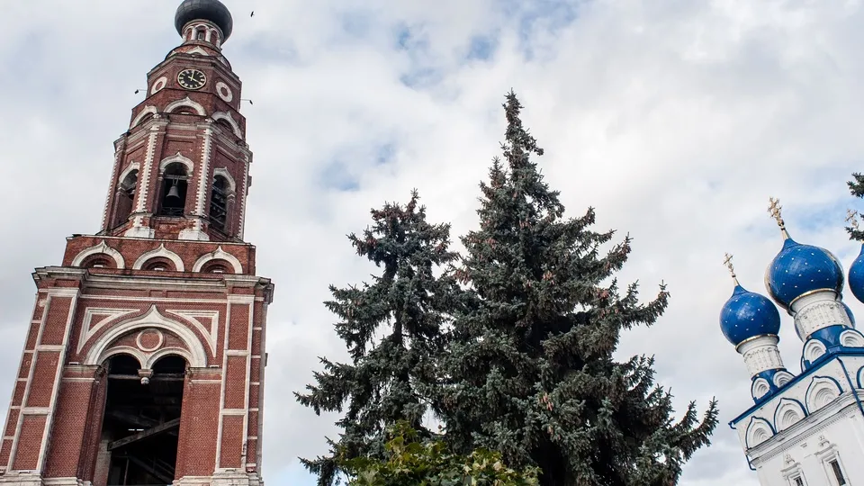 Фото: медиасток.рф