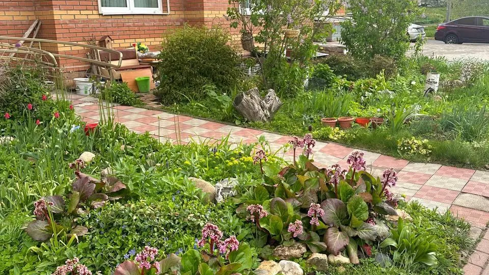 Пресс-служба городского округа Лобня