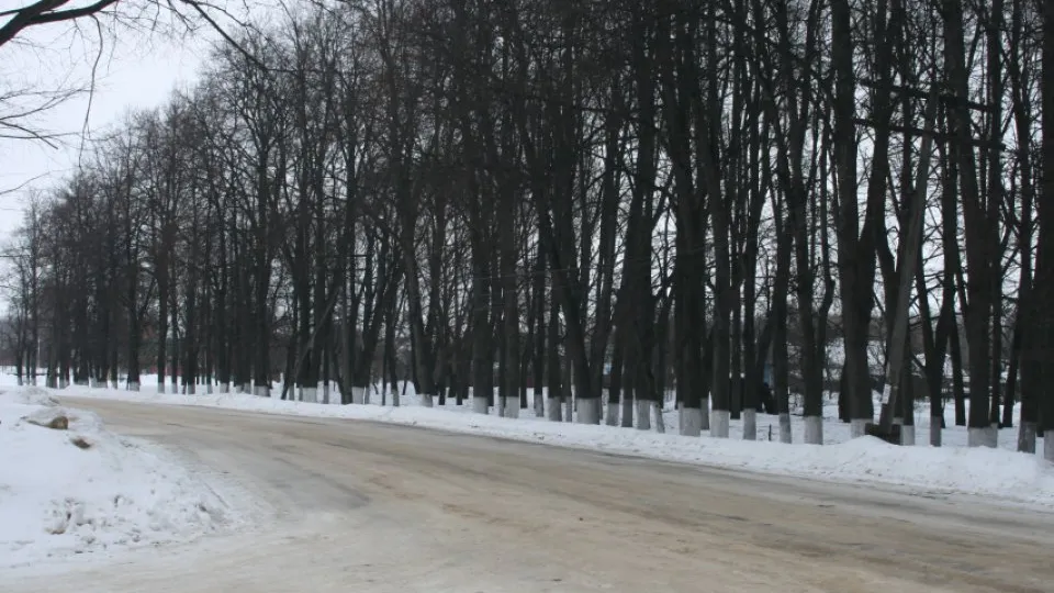 Фото: REGIONS/Дарина Левкина