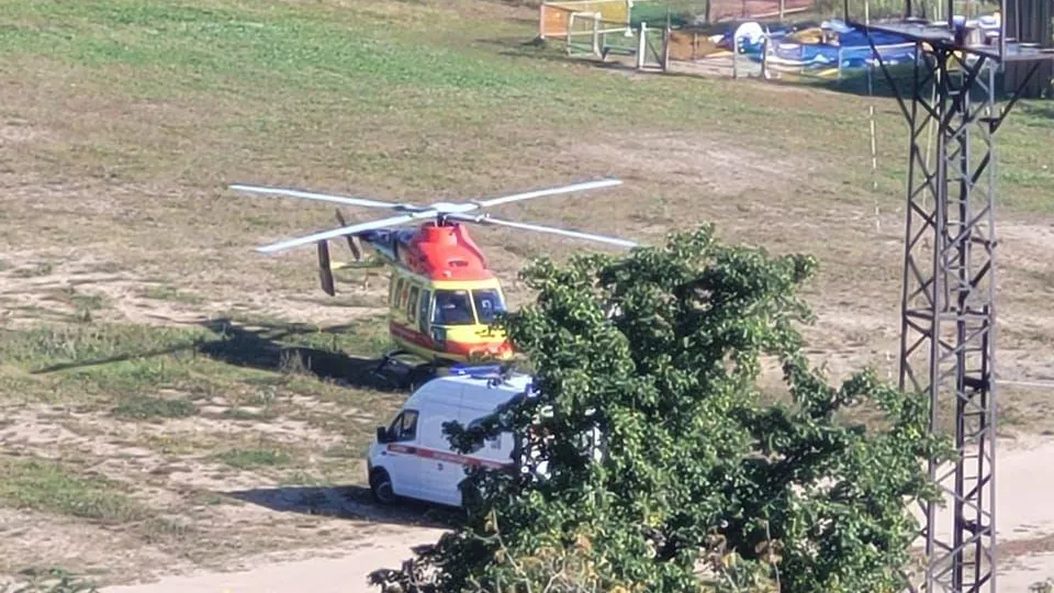 Алла Покида