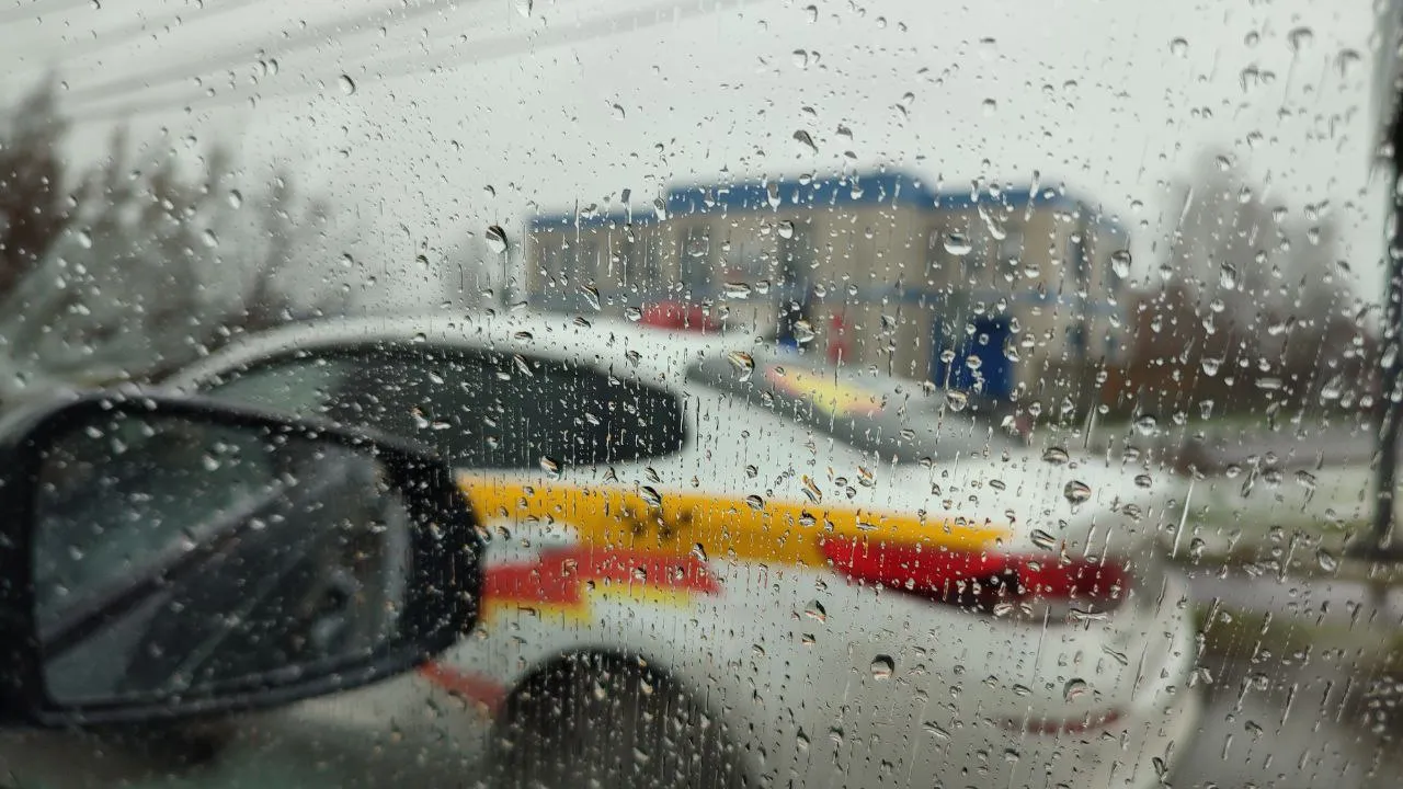 Фото: REGIONS/Елена Забелина