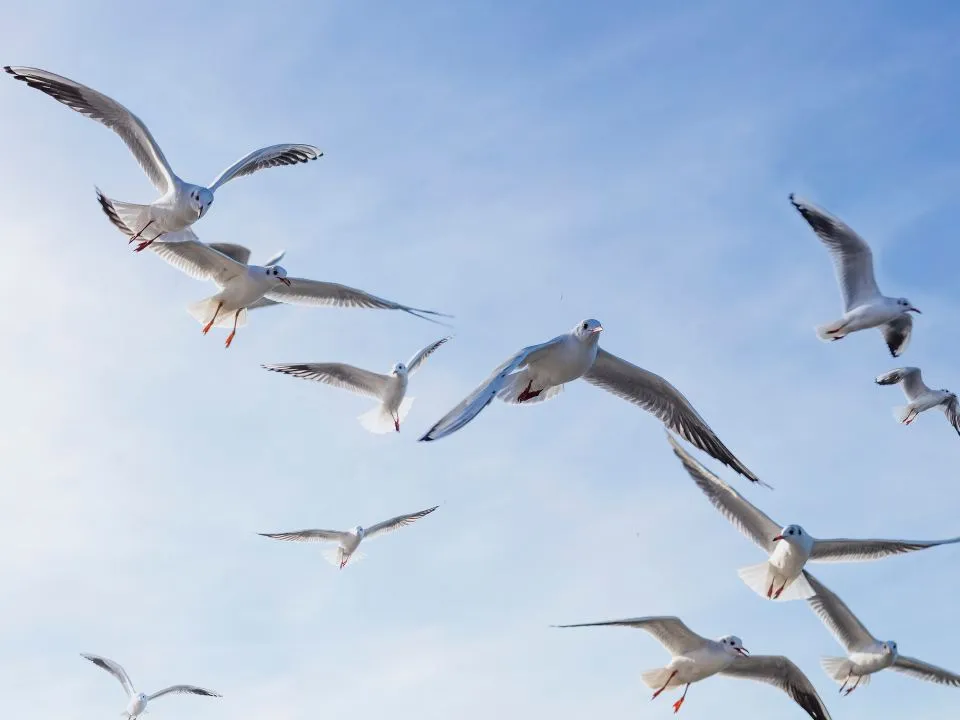 Фото: istockphoto.com