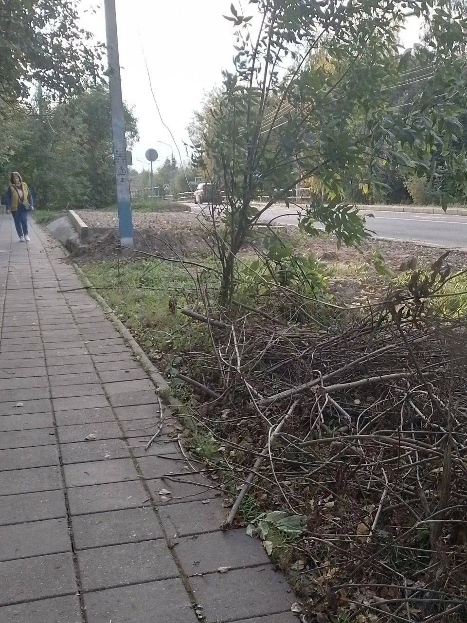 Фото: Подслушано в Солнечногорске / Telegram