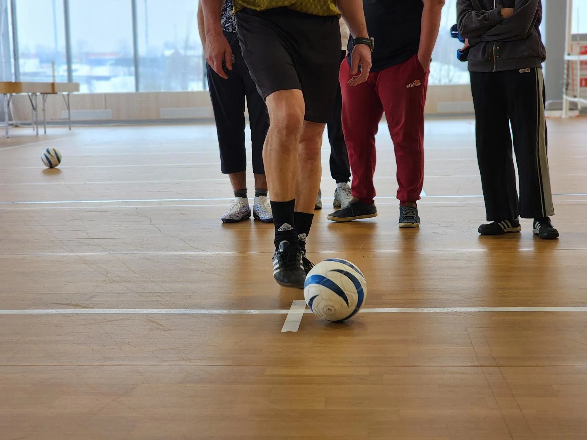 REGIONS/Елена Шумакова