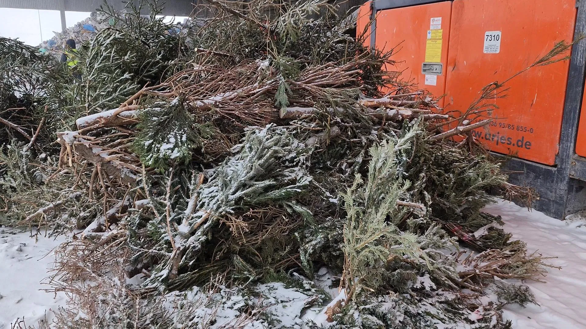 Фото: Юлия Андросова