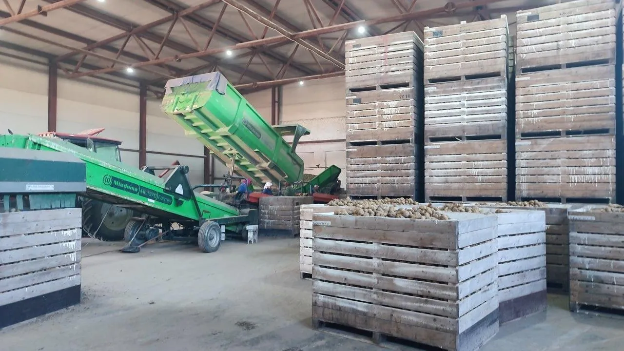 Фото: пресс-служба администрации городского округа Шатура